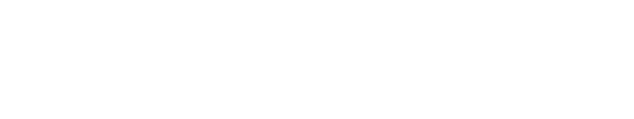 DataAudience